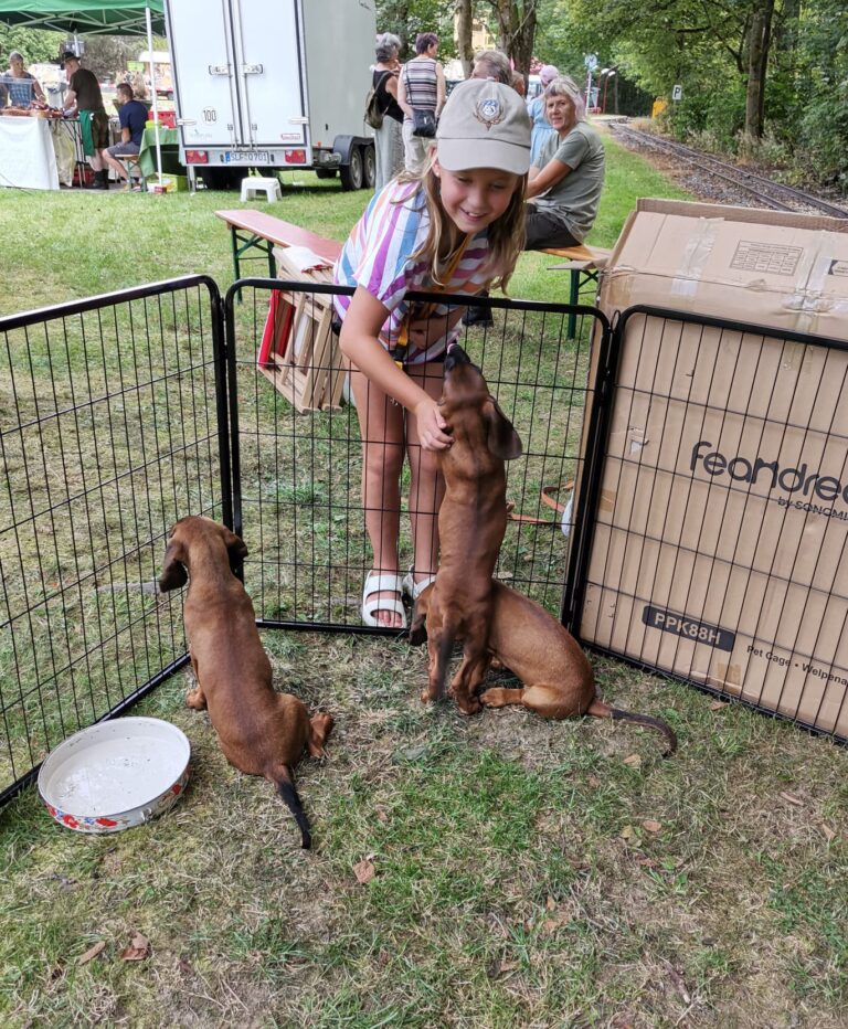 IMG-20240822-WA0013 (1)