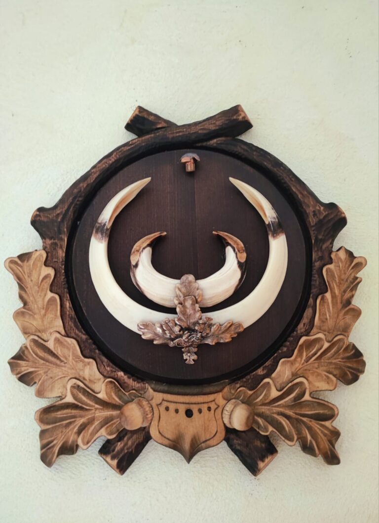 WhatsApp Image 2025-12-10 at 08.27.35 (1)